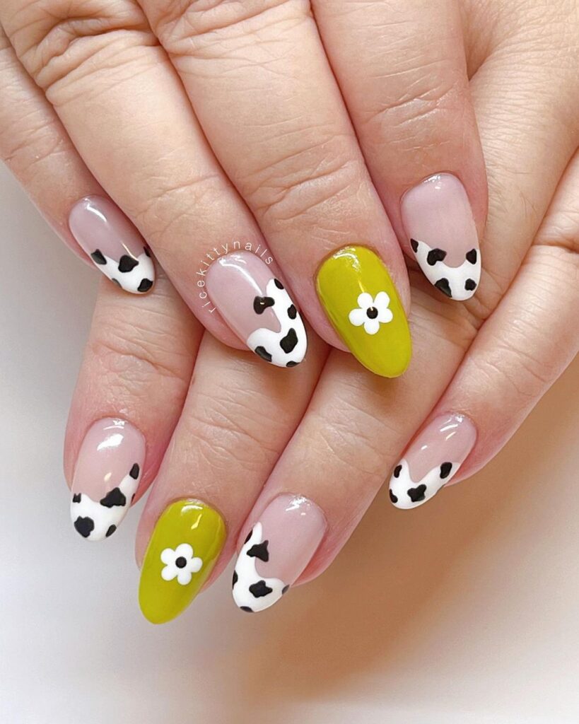 Daisies With Cow Print 
