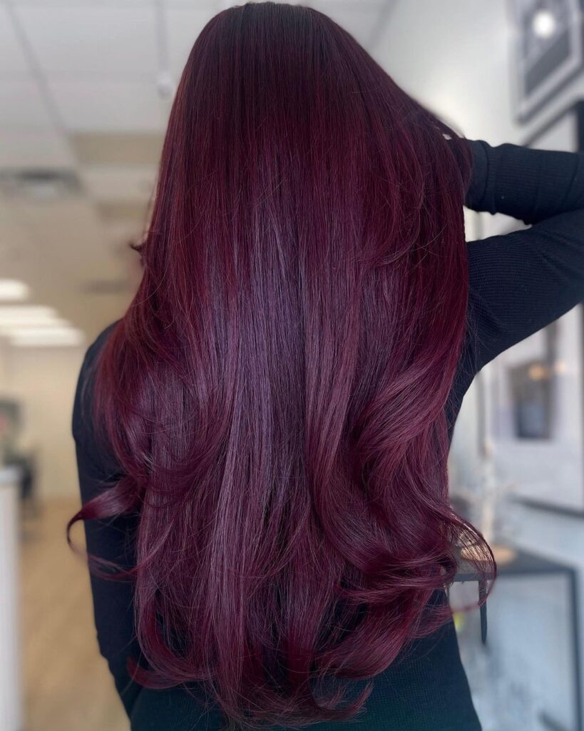 deep cherry violet hair 2