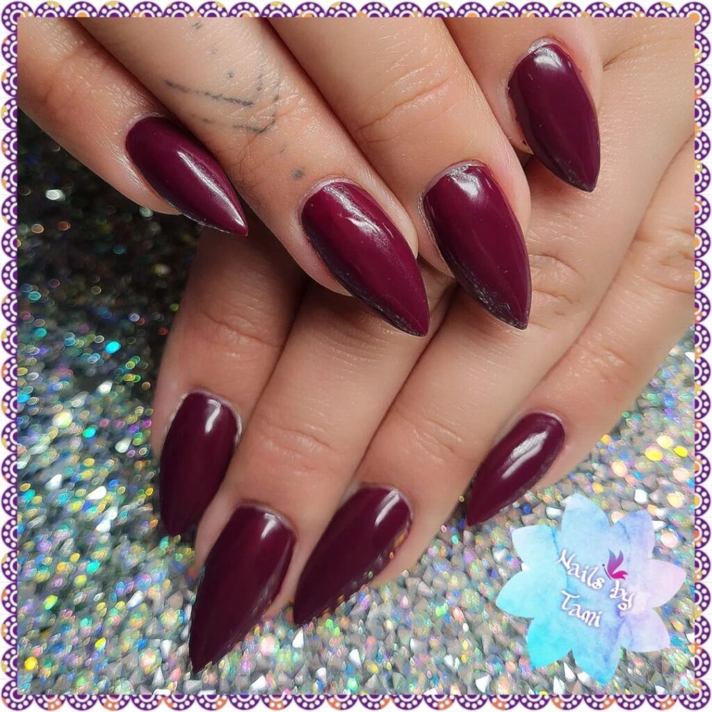 stiletto berry nails