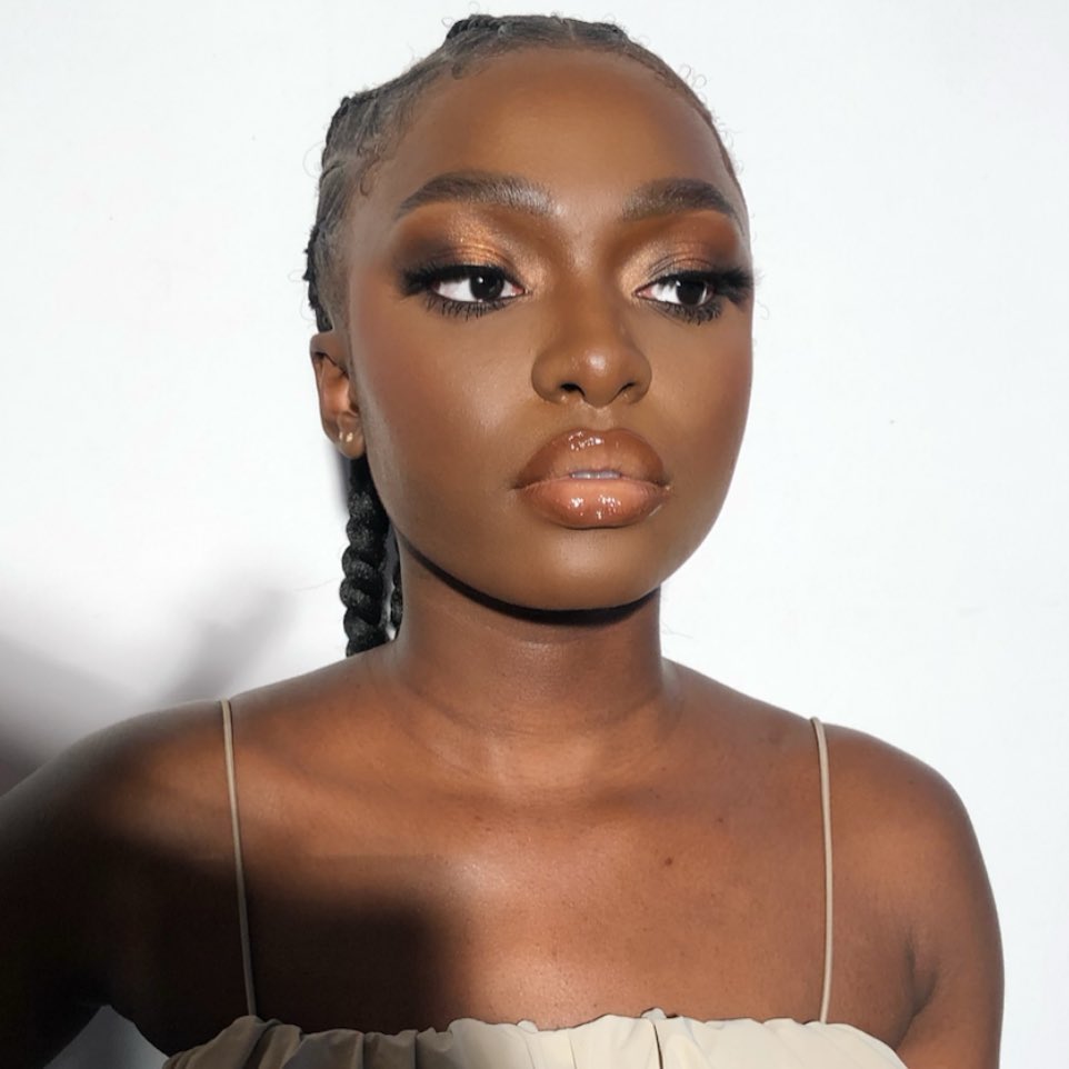 bronze makeup look for dark skin 3