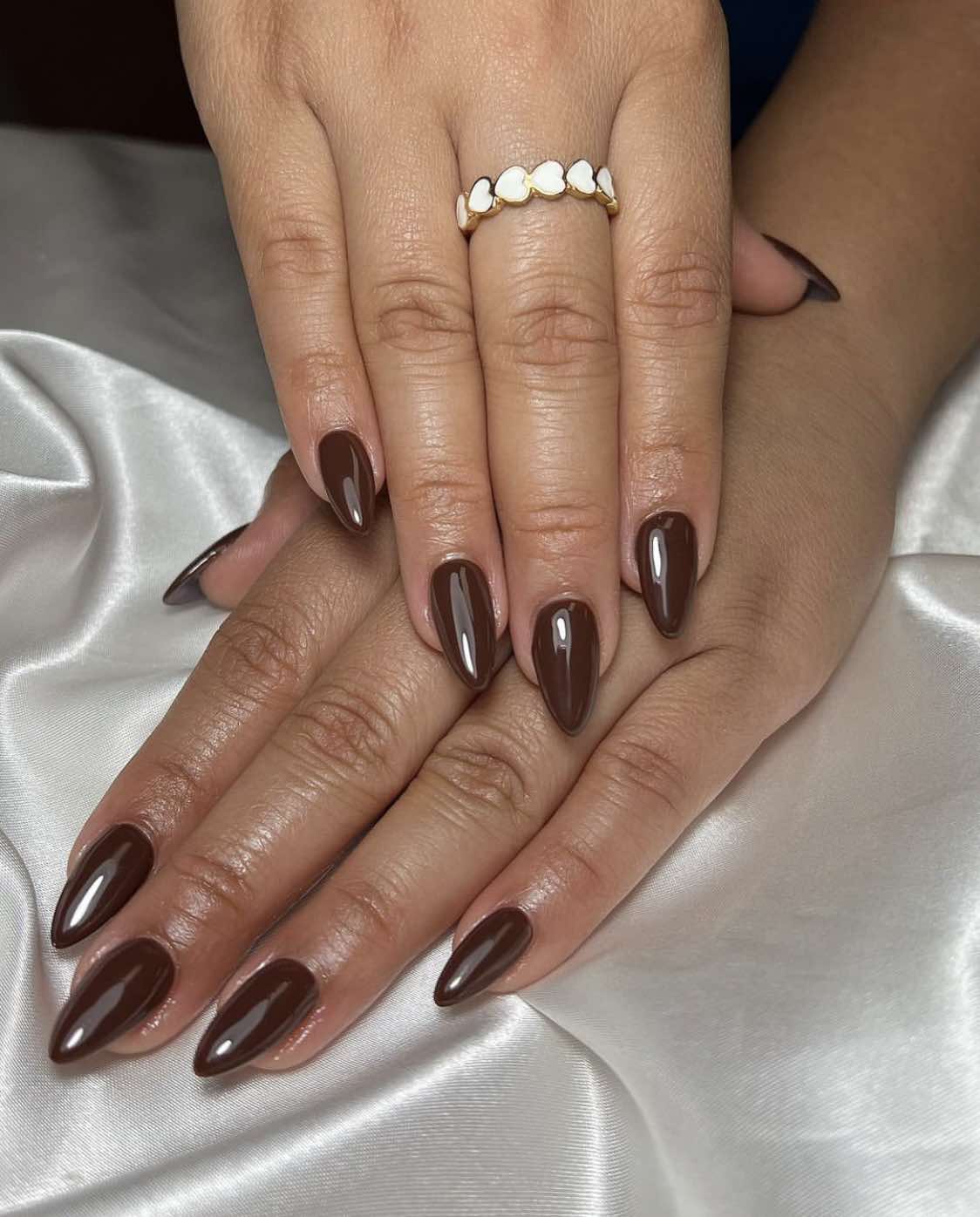 Classic Brown Fall Almond Nails