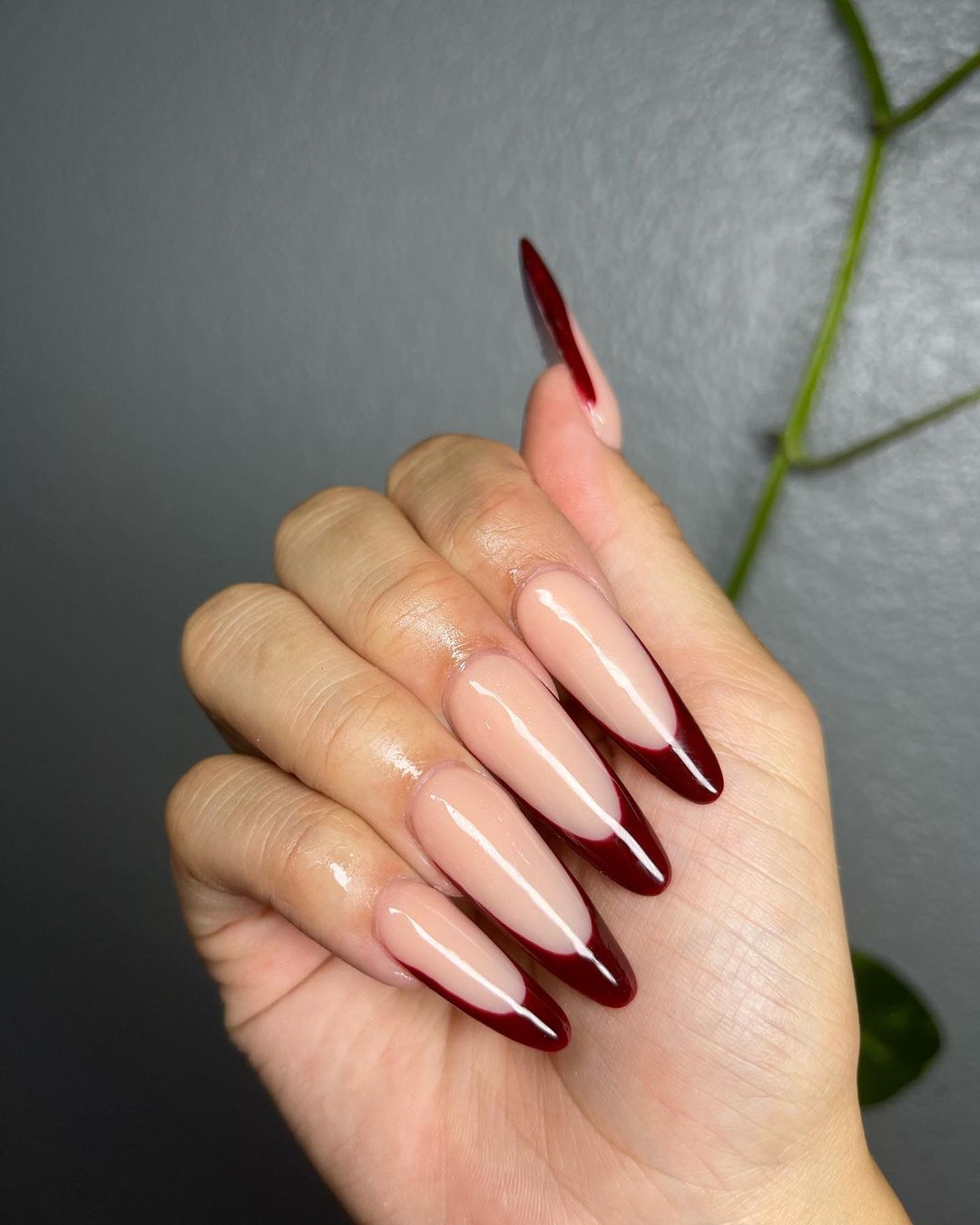 black cherry french tips