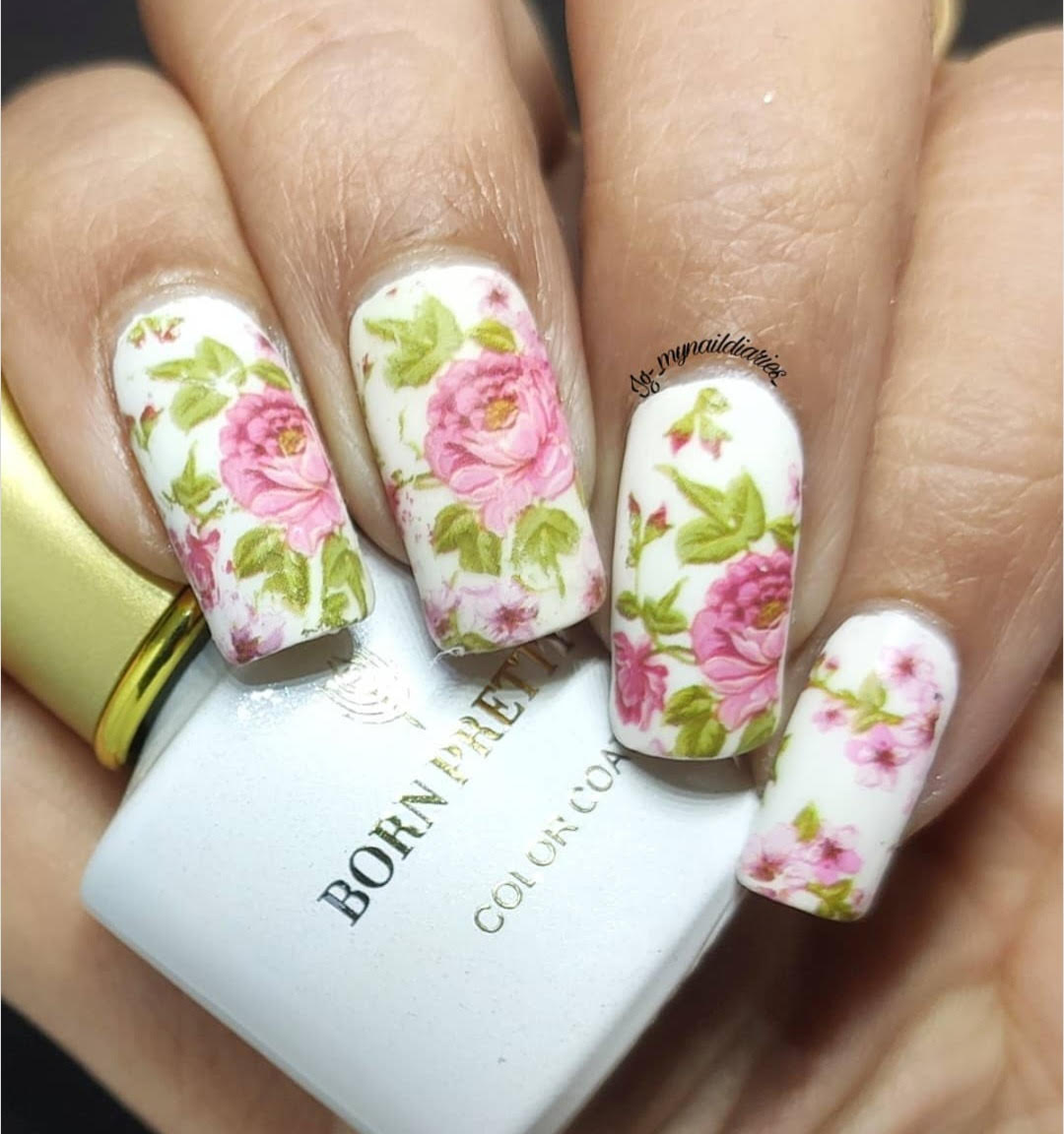 rose retro nail art set