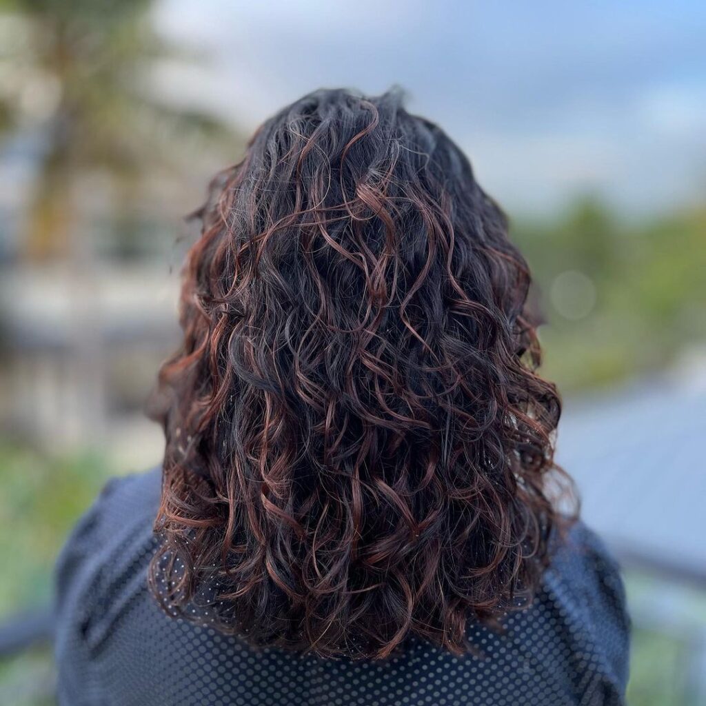 Curly Chocolate Brown Hair