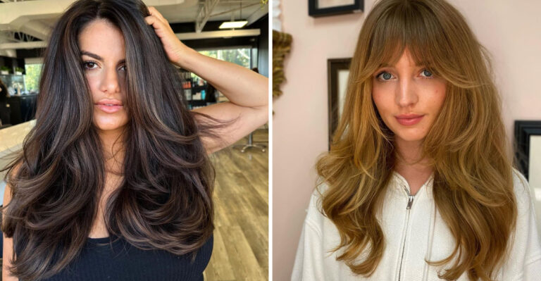 cheveux épais et dégradés