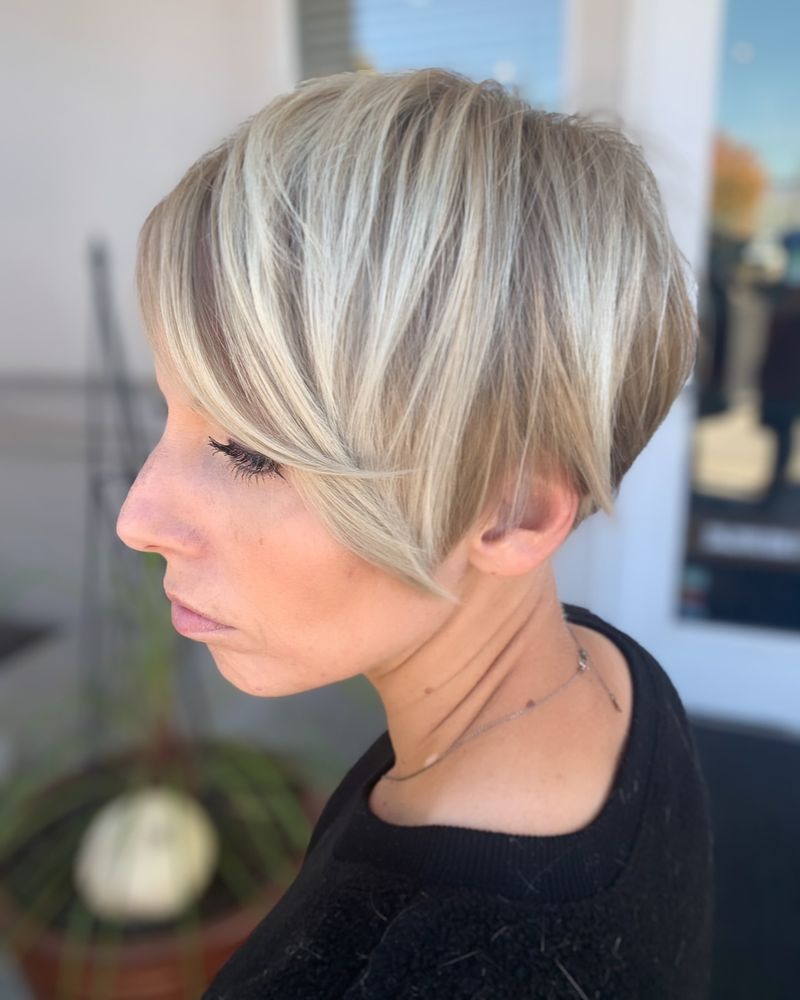 Blunt Pixie Bob