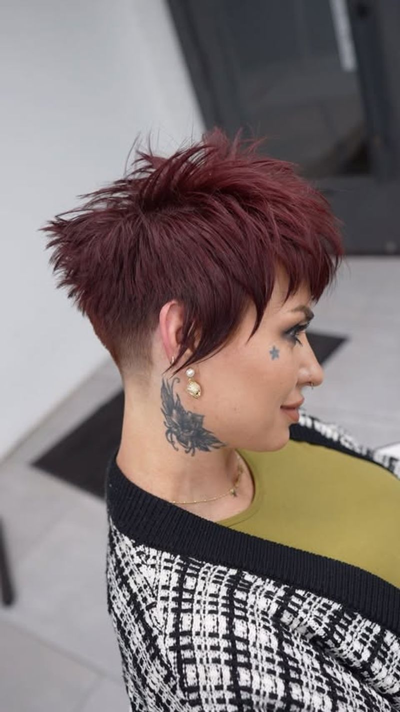 Faux Hawk Pixie Bob