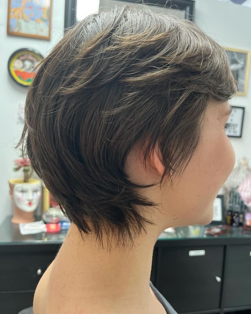 Feathered Pixie Bob