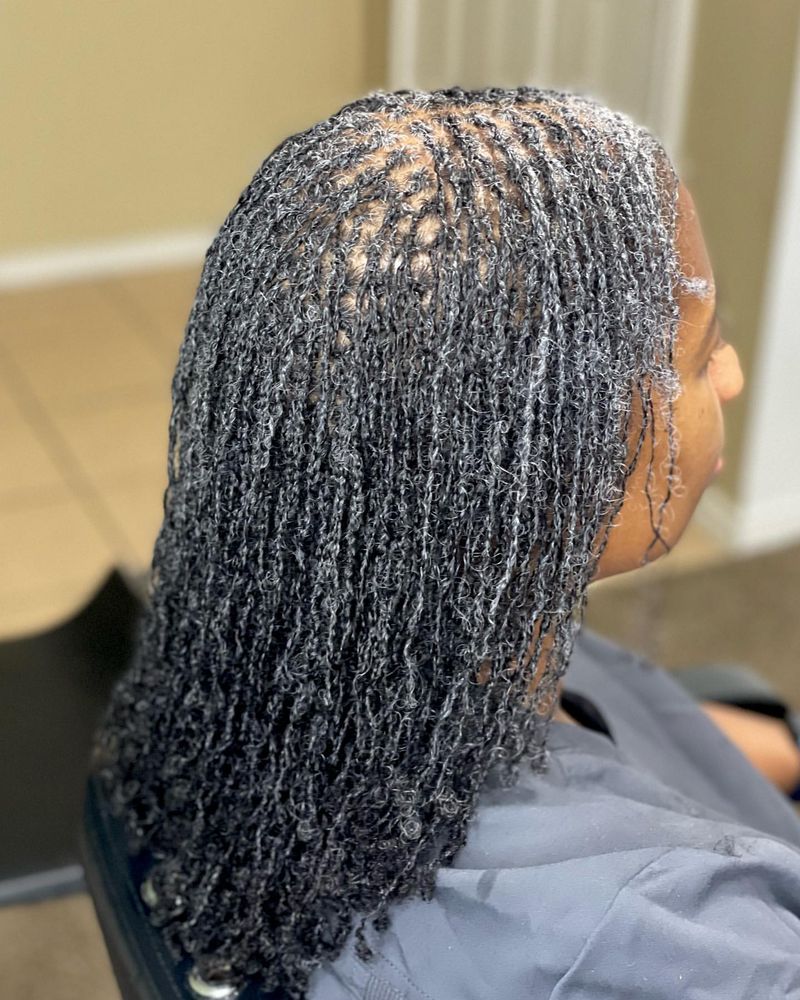 Micro Braids