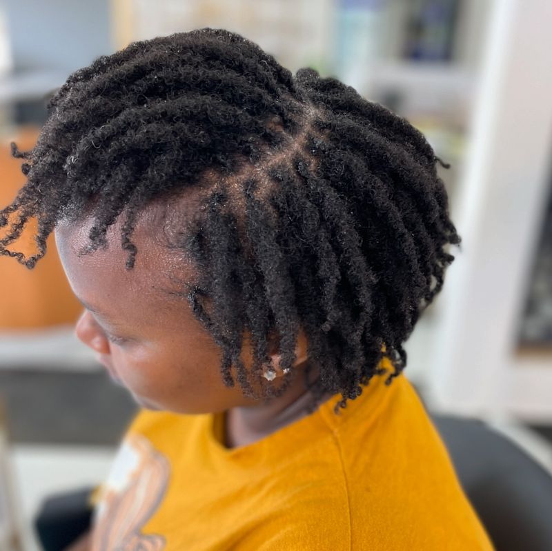 Mini Twists