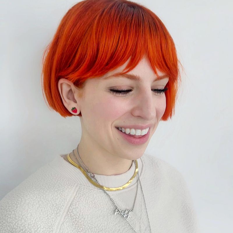 Pixie Bob with Bold Color