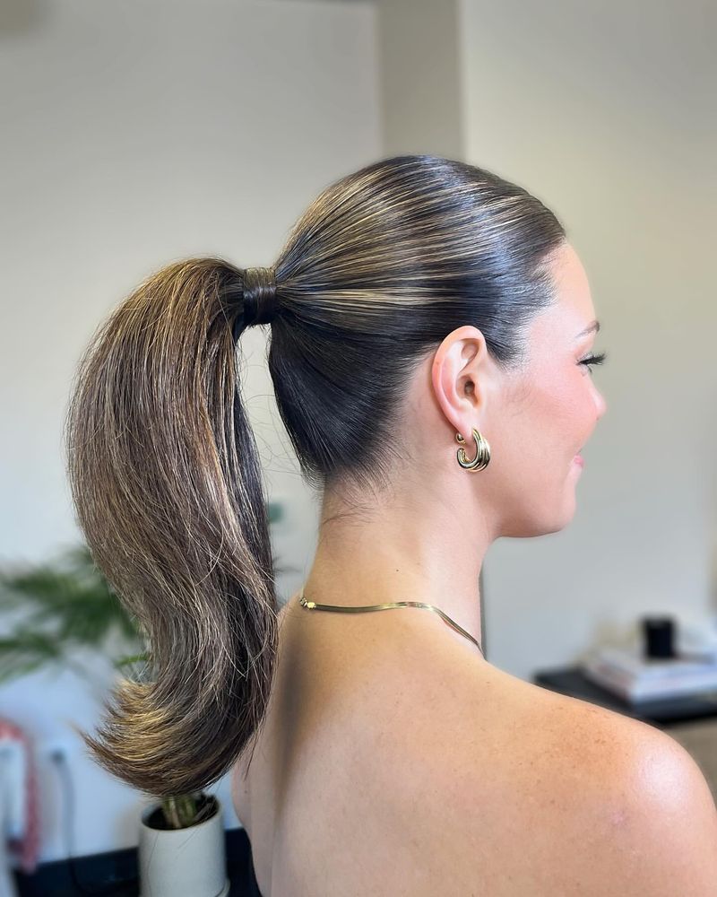 Sleek Ponytail