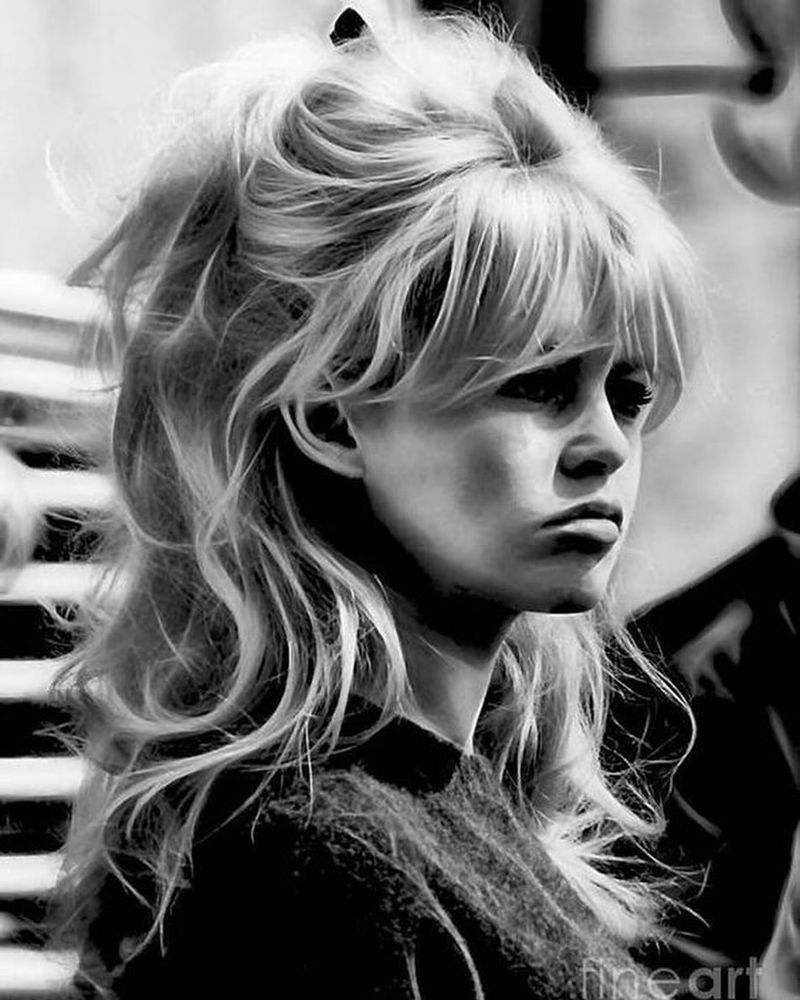 The Brigitte Bardot