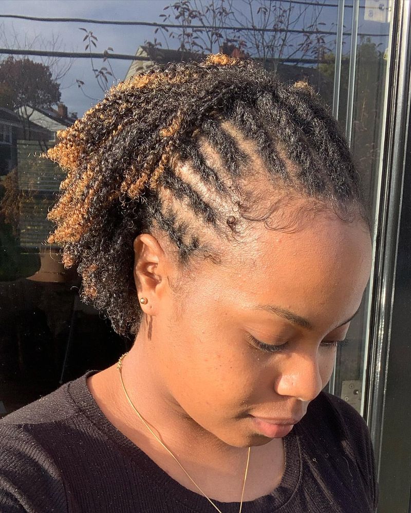 Interlocking Starter Locs