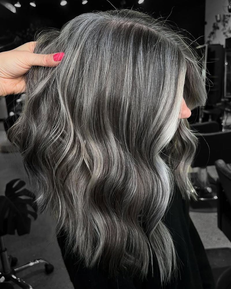 Pale Silver Highlights