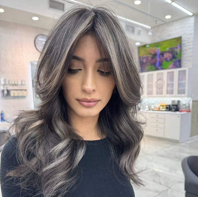 Silver Highlights