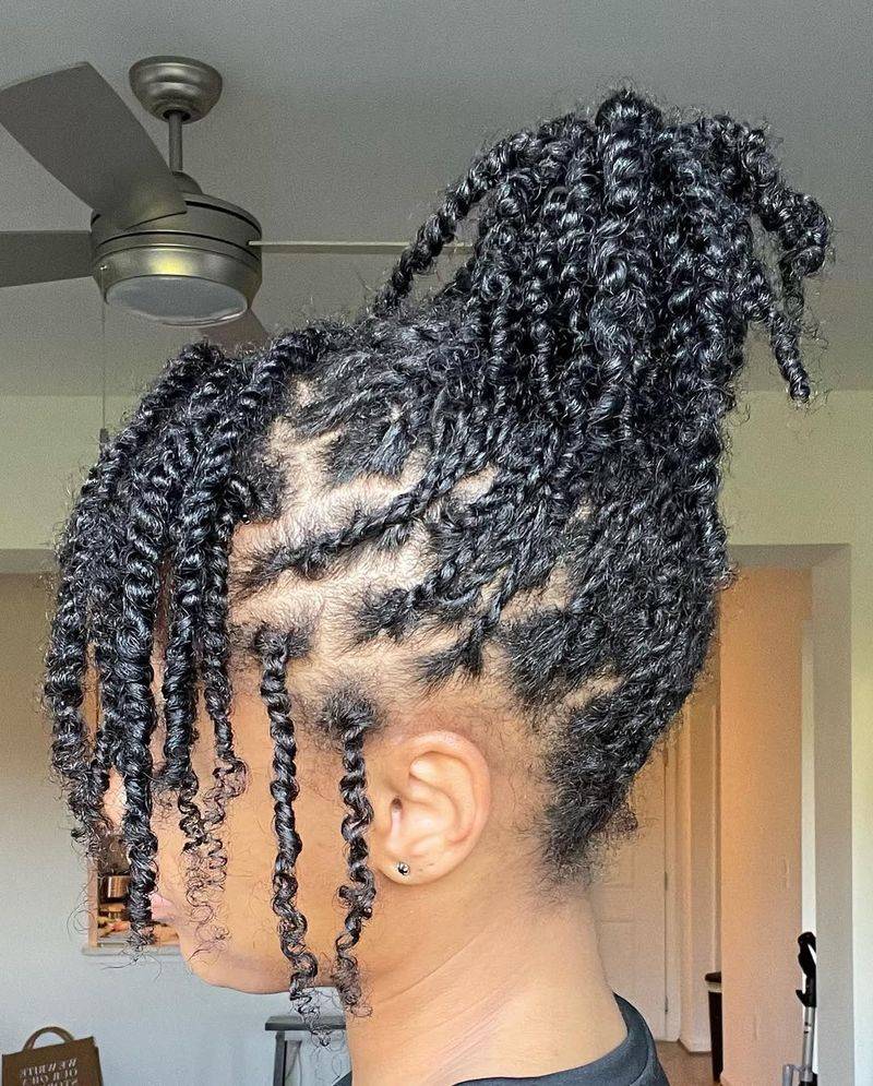 Twist Braids Bliss