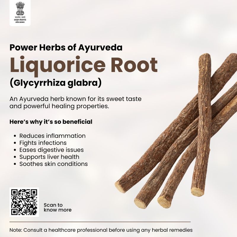 Licorice Root