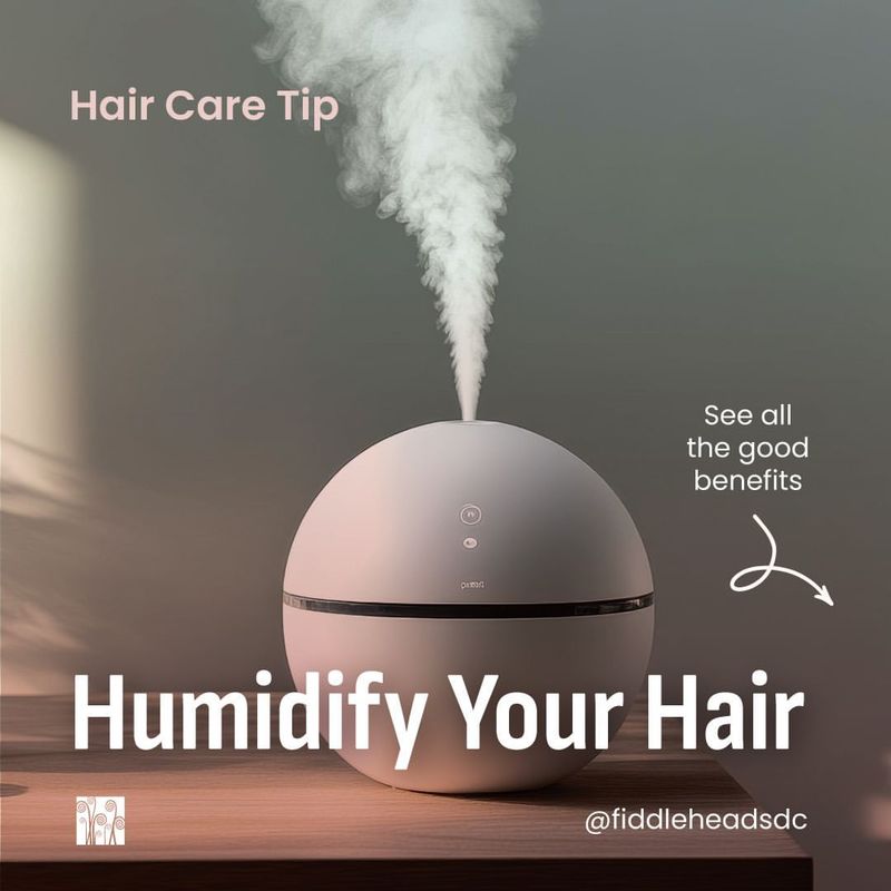 Use Humidifiers