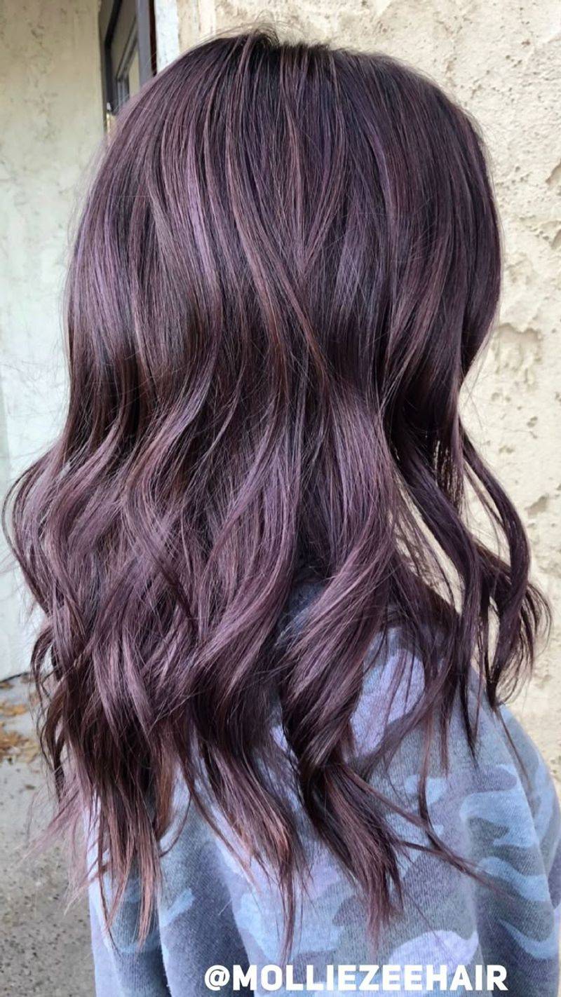 Blackberry with Lavender Highlights