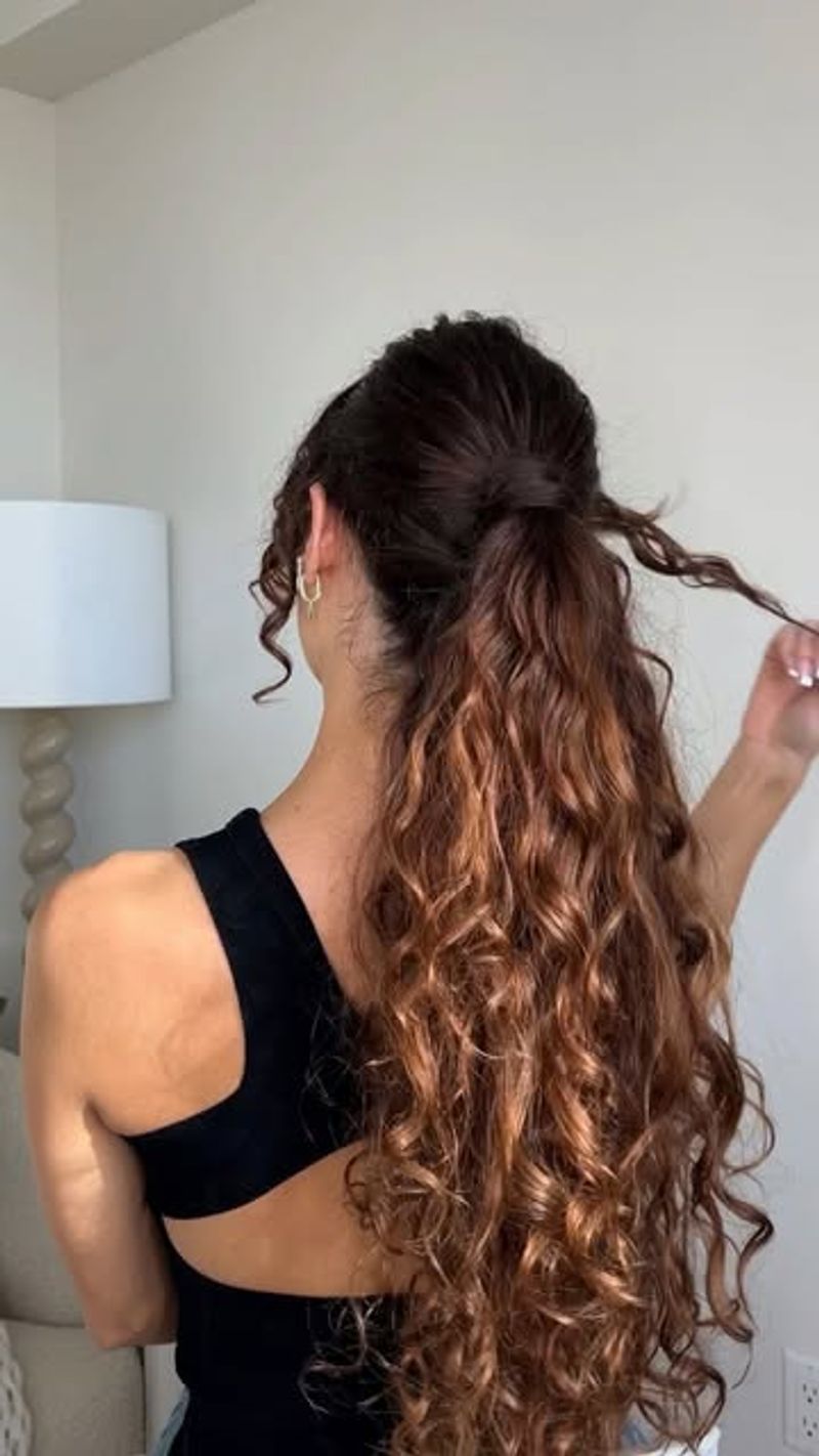 Curly Low Ponytail