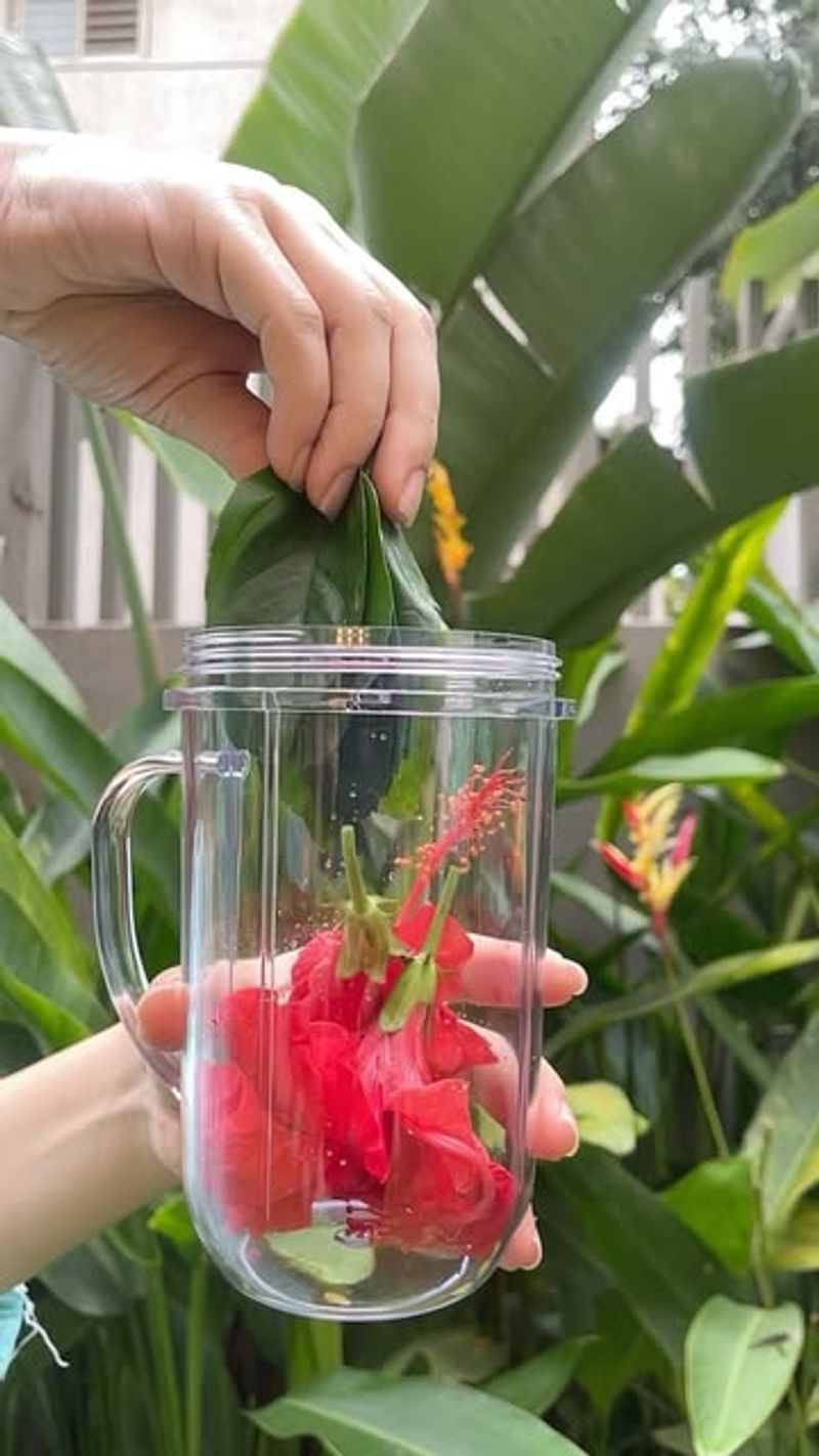 Hibiscus Petal Mask