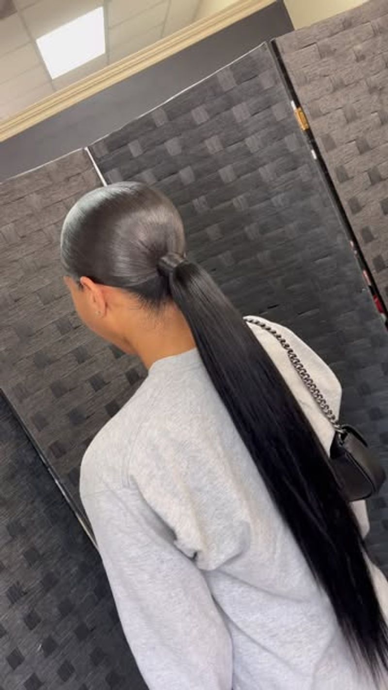 Sleek Low Ponytail