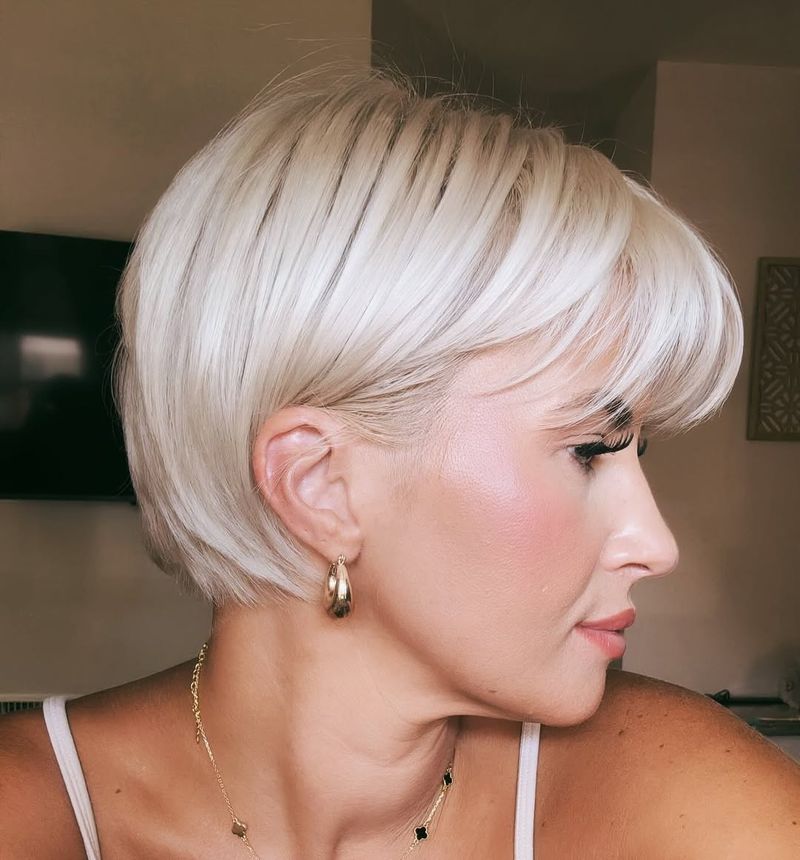 Formal Pixie Bob