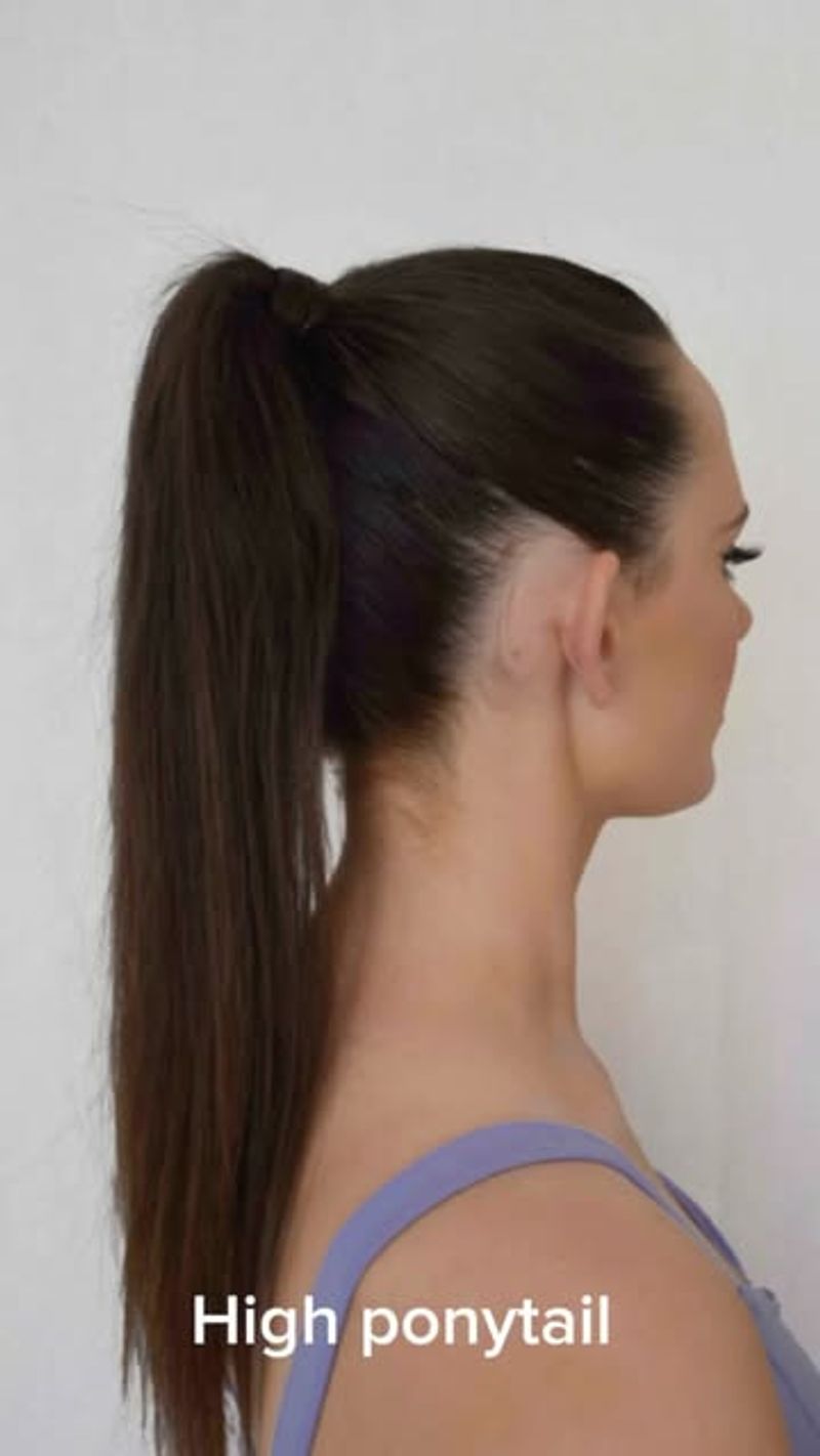 The High Ponytail