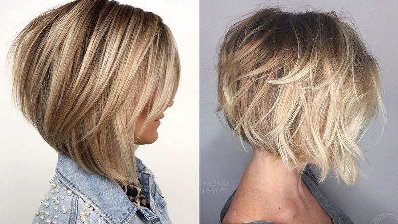 The Overly Tamed Bob