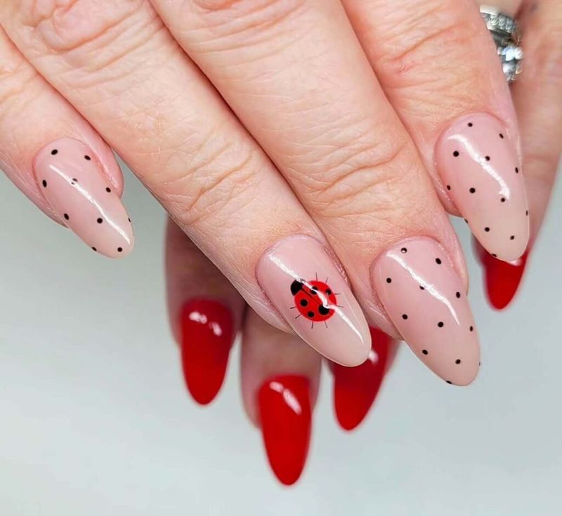 Ladybug Luck