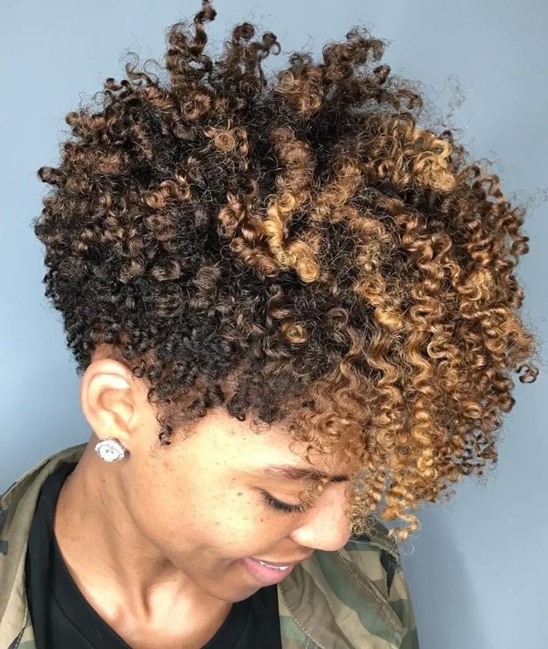 Tapered Curly Fro With Vibrant Highlights
