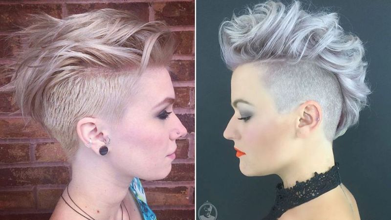 The Pixie Hawk