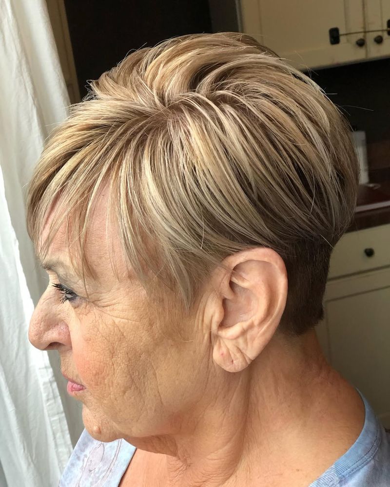 Pixie Bob con corte bajo