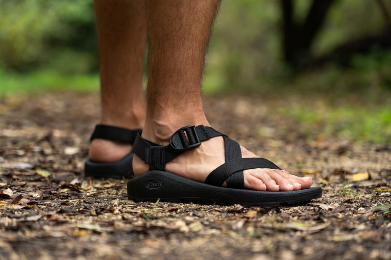 Chaco Women's Z/Cloud Sandal