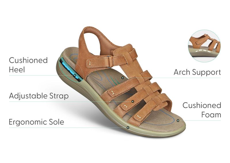 Heel-Cushioned Cruisers