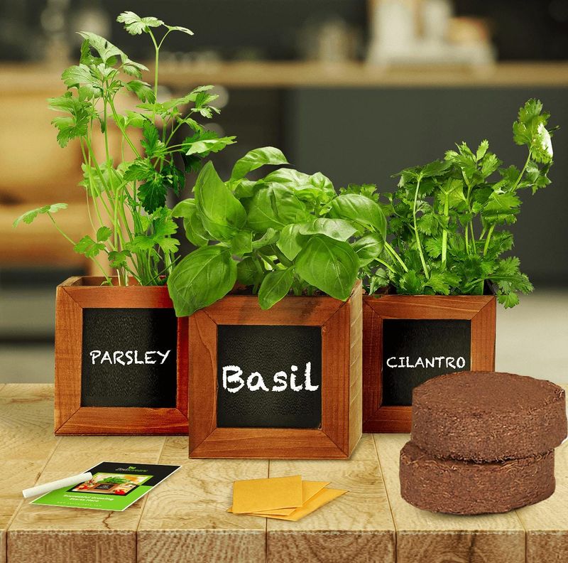 Indoor Herb Garden
