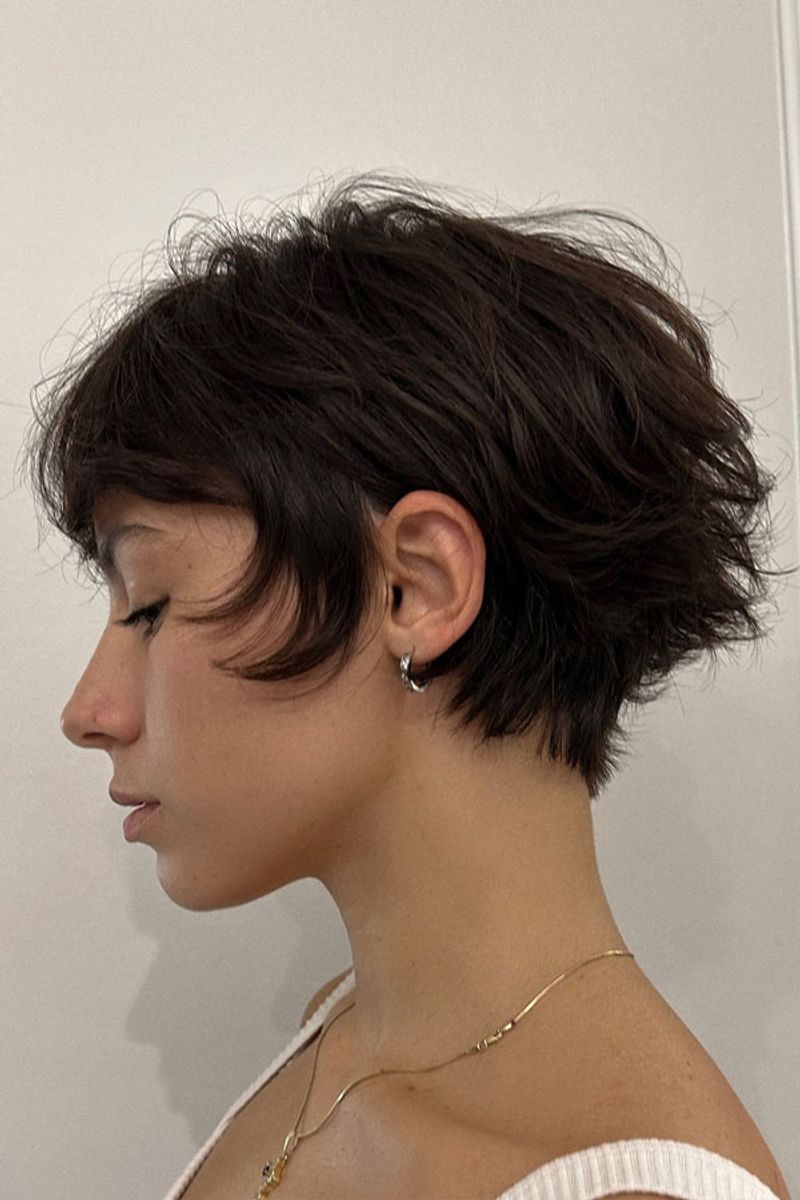 Pixie arruffato