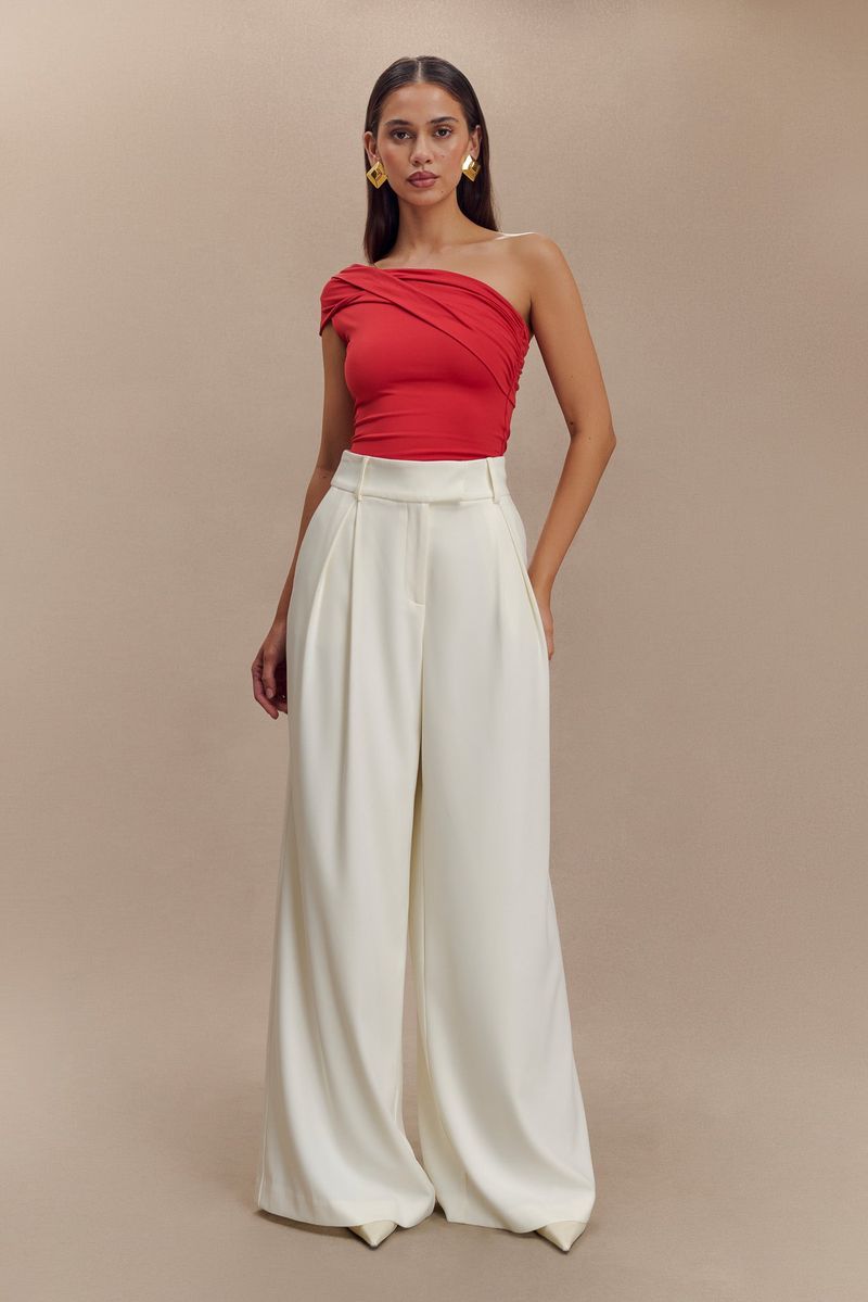 Pleated Front Wide Legs