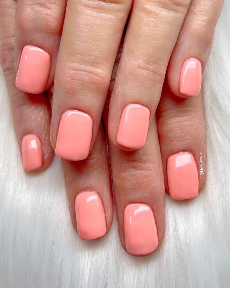 Coral Dreams