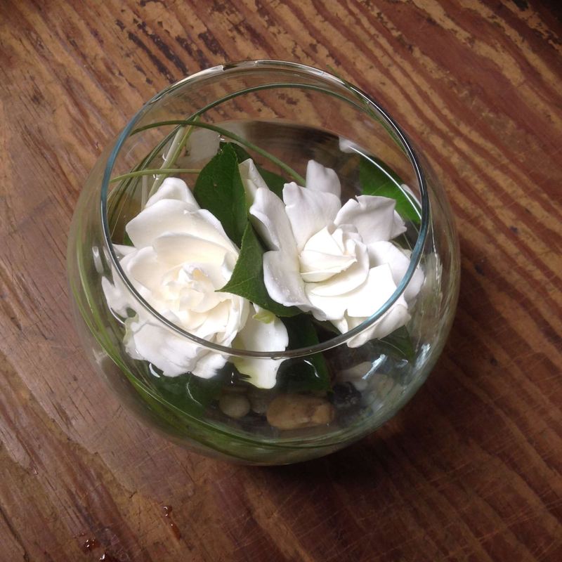Floating Flower Display