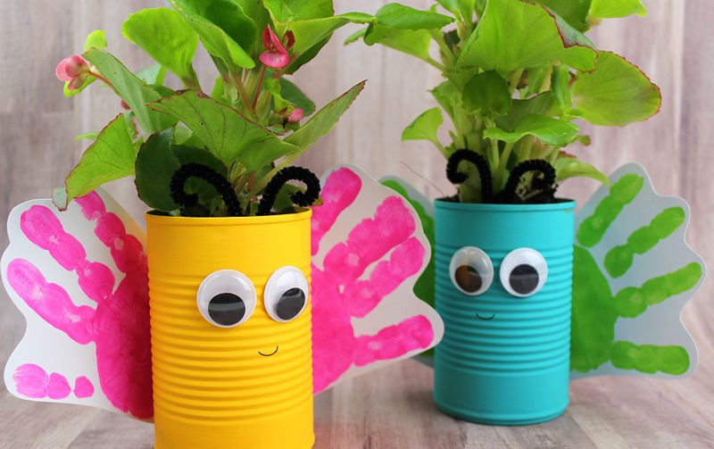 Plant Cutting in Upcycled Container