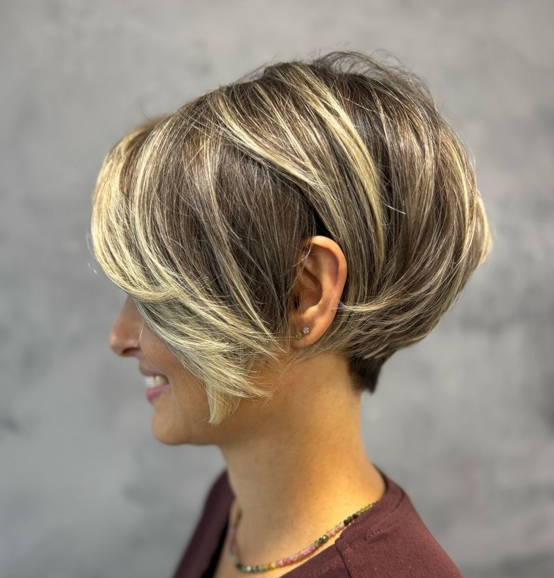 Modern Pixie-Bob Hybrid