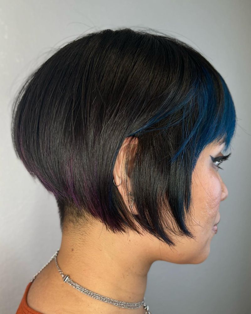 Pixie Bob con frangia lunga