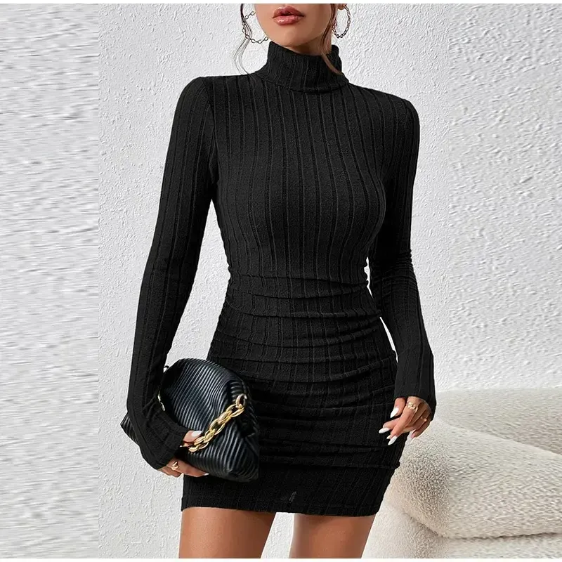 The Turtleneck Dress