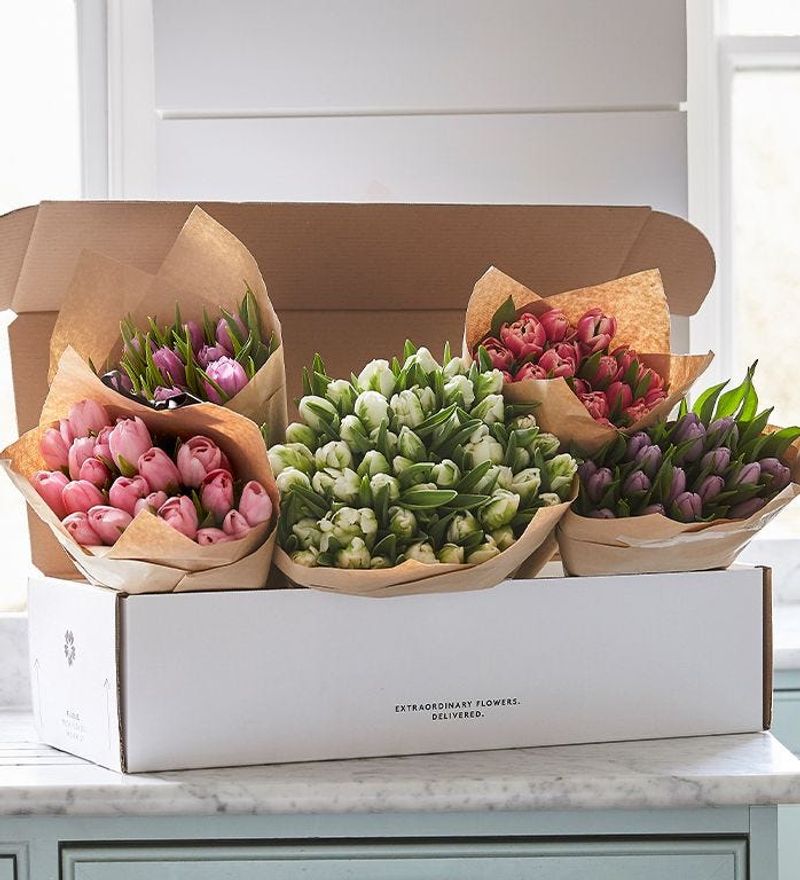 Monthly Flower Subscription