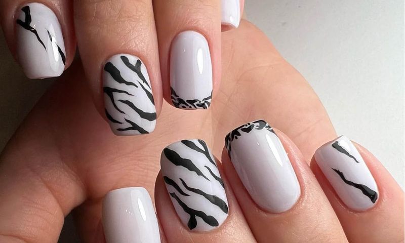 Zebra Stripe Accent