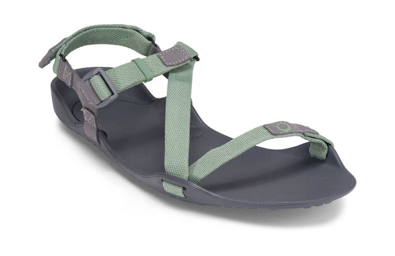 Eco-Friendly Trekker