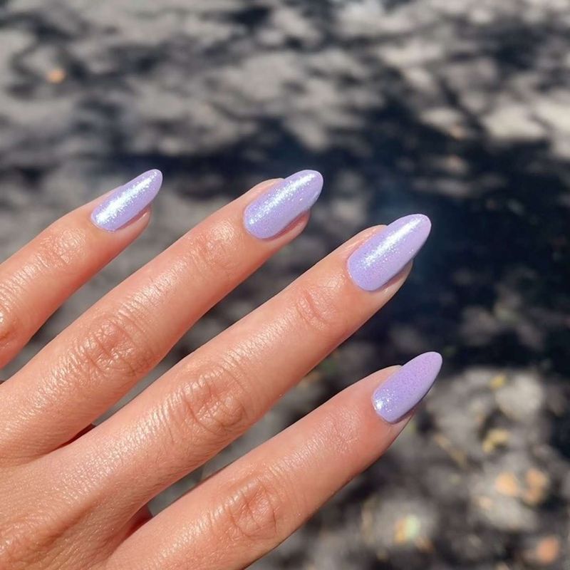 Lavender Fields Forever