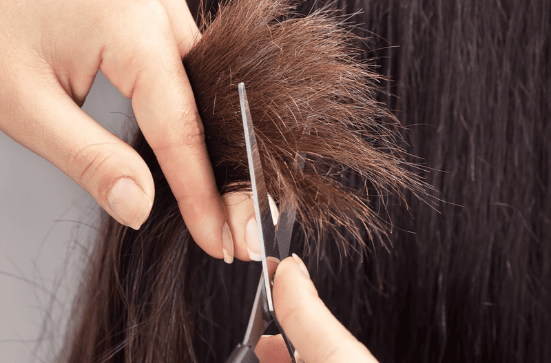 Mistake: Skipping Regular Trims